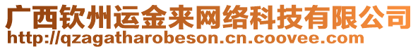 廣西欽州運金來網絡科技有限公司