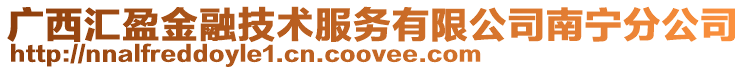 广西汇盈金融技术服务有限公司南宁分公司