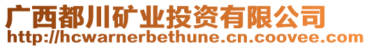 廣西都川礦業(yè)投資有限公司