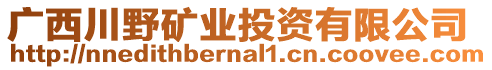 廣西川野礦業(yè)投資有限公司