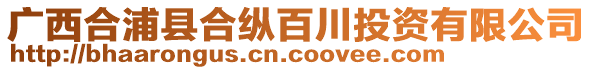 廣西合浦縣合縱百川投資有限公司