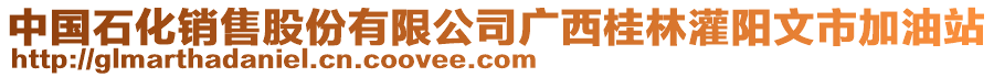 中國石化銷售股份有限公司廣西桂林灌陽文市加油站