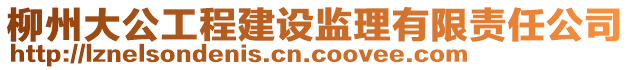 柳州大公工程建設(shè)監(jiān)理有限責(zé)任公司