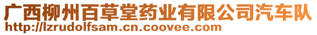 廣西柳州百草堂藥業(yè)有限公司汽車隊(duì)