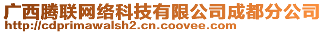 廣西騰聯(lián)網(wǎng)絡(luò)科技有限公司成都分公司