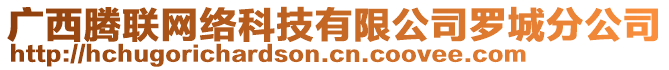 廣西騰聯(lián)網(wǎng)絡(luò)科技有限公司羅城分公司