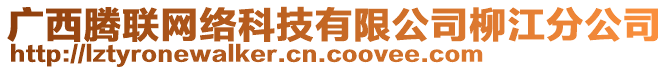 廣西騰聯(lián)網(wǎng)絡(luò)科技有限公司柳江分公司