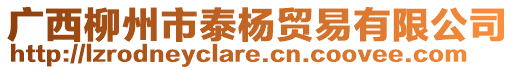 廣西柳州市泰楊貿(mào)易有限公司