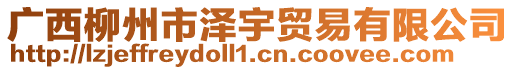 廣西柳州市澤宇貿(mào)易有限公司