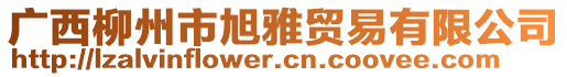 廣西柳州市旭雅貿(mào)易有限公司