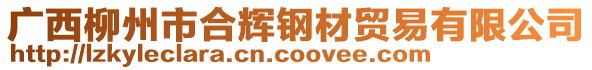 廣西柳州市合輝鋼材貿(mào)易有限公司