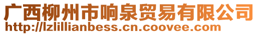 廣西柳州市響泉貿(mào)易有限公司