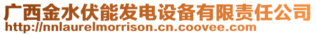 廣西金水伏能發(fā)電設(shè)備有限責(zé)任公司