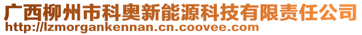 廣西柳州市科奧新能源科技有限責(zé)任公司