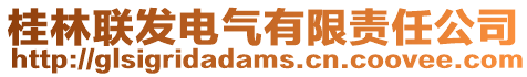 桂林聯(lián)發(fā)電氣有限責(zé)任公司