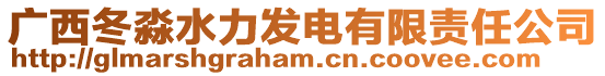 广西冬淼水力发电有限责任公司