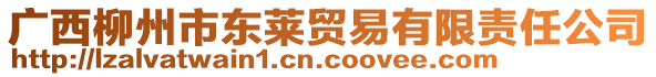 廣西柳州市東萊貿易有限責任公司