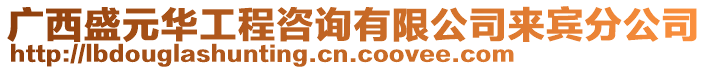 廣西盛元華工程咨詢有限公司來(lái)賓分公司