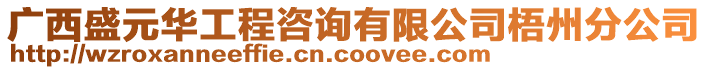 廣西盛元華工程咨詢有限公司梧州分公司