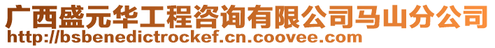 廣西盛元華工程咨詢有限公司馬山分公司