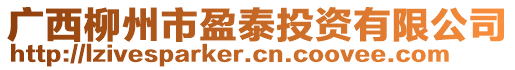 廣西柳州市盈泰投資有限公司