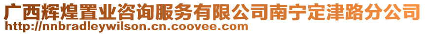 廣西輝煌置業(yè)咨詢服務(wù)有限公司南寧定津路分公司