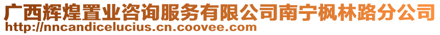 廣西輝煌置業(yè)咨詢服務(wù)有限公司南寧楓林路分公司