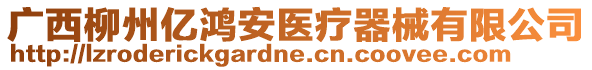 廣西柳州億鴻安醫(yī)療器械有限公司