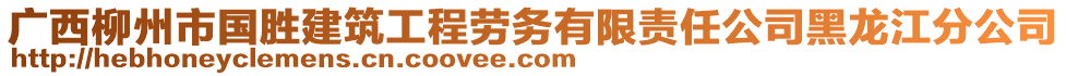 廣西柳州市國勝建筑工程勞務(wù)有限責(zé)任公司黑龍江分公司