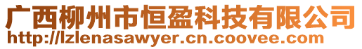 廣西柳州市恒盈科技有限公司