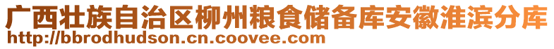 廣西壯族自治區(qū)柳州糧食儲(chǔ)備庫(kù)安徽淮濱分庫(kù)