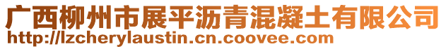 廣西柳州市展平瀝青混凝土有限公司