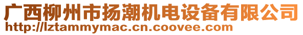 廣西柳州市揚潮機電設備有限公司