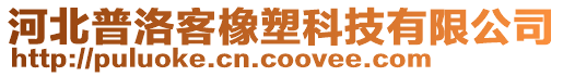 河北普洛客橡塑科技有限公司