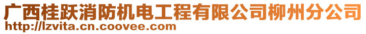 廣西桂躍消防機(jī)電工程有限公司柳州分公司