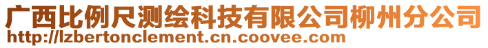 廣西比例尺測(cè)繪科技有限公司柳州分公司