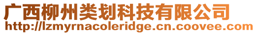 廣西柳州類(lèi)劃科技有限公司