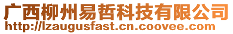 廣西柳州易哲科技有限公司