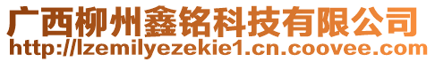 廣西柳州鑫銘科技有限公司