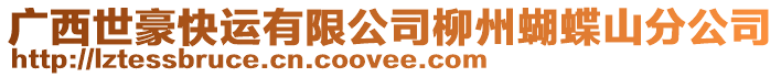 廣西世豪快運有限公司柳州蝴蝶山分公司