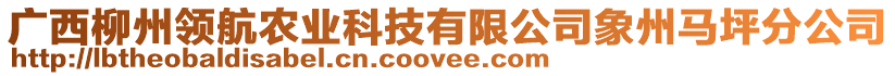 廣西柳州領(lǐng)航農(nóng)業(yè)科技有限公司象州馬坪分公司