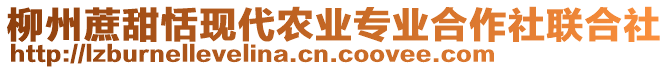 柳州蔗甜恬現(xiàn)代農(nóng)業(yè)專(zhuān)業(yè)合作社聯(lián)合社