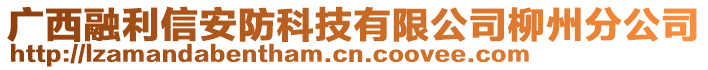 廣西融利信安防科技有限公司柳州分公司