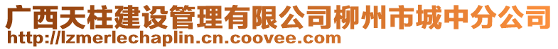 廣西天柱建設管理有限公司柳州市城中分公司