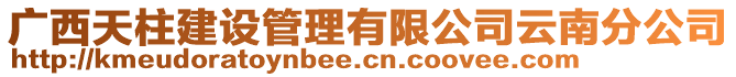 廣西天柱建設(shè)管理有限公司云南分公司