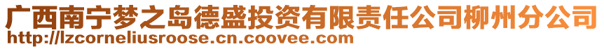 广西南宁梦之岛德盛投资有限责任公司柳州分公司