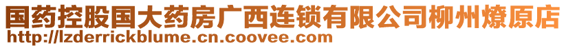 國藥控股國大藥房廣西連鎖有限公司柳州燎原店