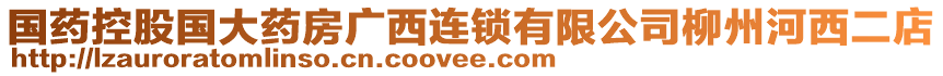 國藥控股國大藥房廣西連鎖有限公司柳州河西二店