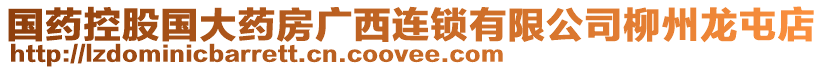 国药控股国大药房广西连锁有限公司柳州龙屯店