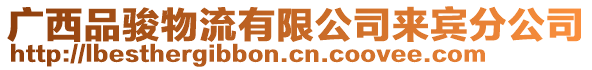 廣西品駿物流有限公司來賓分公司